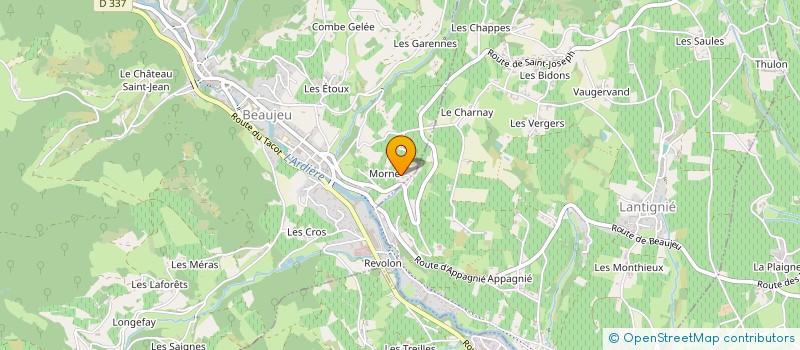 localisation de l'entreprise MADAME MARIE PASQUALINI à BEAUJEU