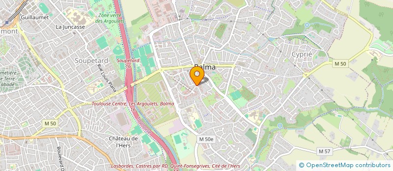 localisation de l'entreprise MADAME MARIE PAULE CHICOISNE à TOULOUSE