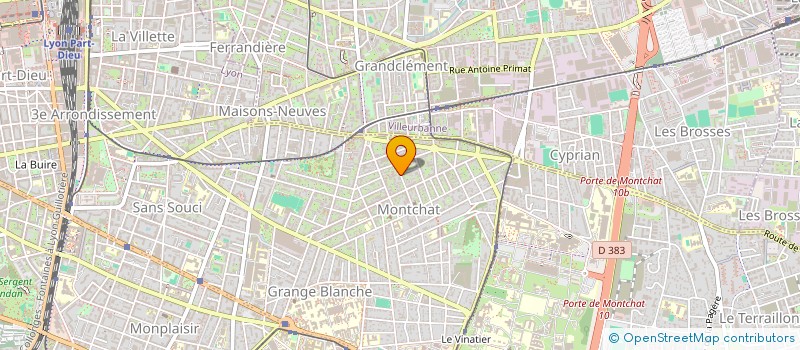 localisation de l'entreprise MADAME MARIE-PAULE FOULIER  LYON