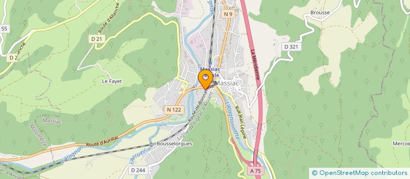 localisation de l'entreprise MADAME MARIE - PAULE VEDRINES à MASSIAC