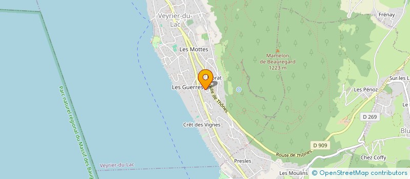 localisation de l'entreprise MADAME MARIE PAULETTE DITTMAN  VEYRIER-DU-LAC