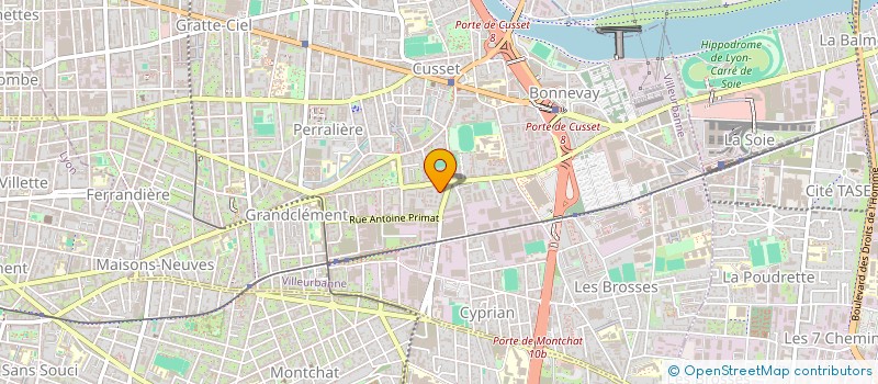 localisation de l'entreprise MADAME MARIE PELLETIER  VILLEURBANNE