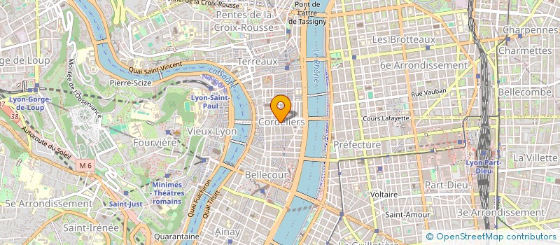 localisation de l'entreprise MADAME MARIE PERVANGHER  LYON