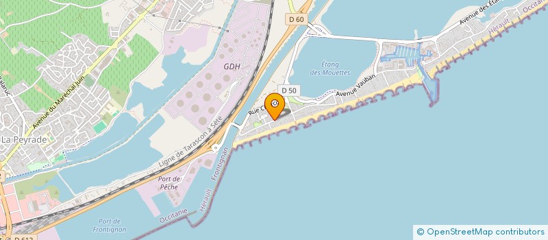 localisation de l'entreprise MADAME MARIE PICAVET à FRONTIGNAN