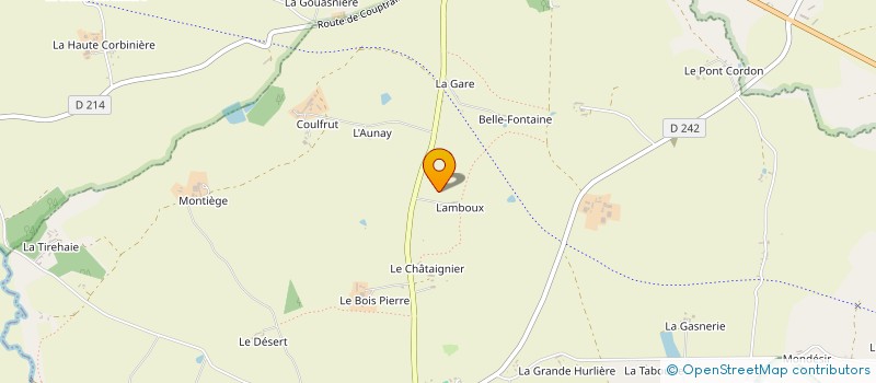 localisation de l'entreprise MADAME MARIE PICHEREAU  SAINT-AIGNAN-DE-COUPTRAIN