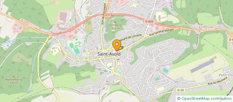 localisation de l'entreprise MADAME MARIE PIERRE  SAINT-AVOLD