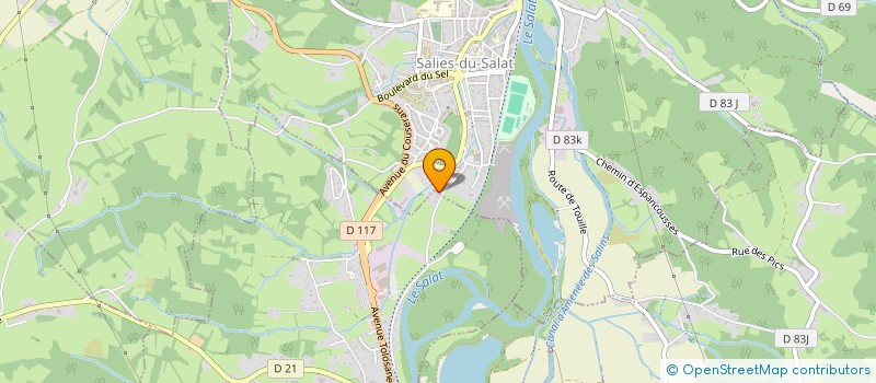 localisation de l'entreprise MADAME MARIE-PIERRE BERNE  SALIES-DU-SALAT