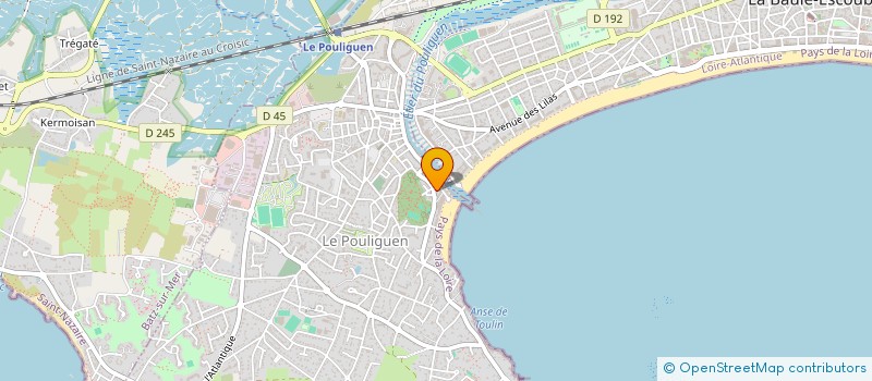 localisation de l'entreprise MADAME MARIE-PIERRE BRICOUT  LE POULIGUEN