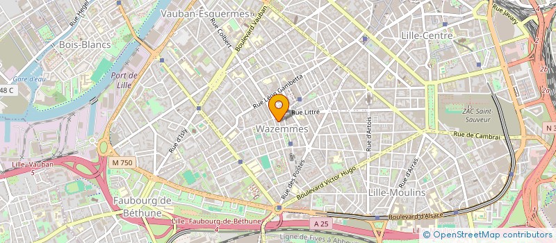 localisation de l'entreprise MADAME MARIE-PIERRE FERINGUE à LILLE