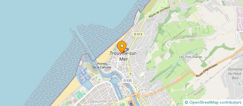 localisation de l'entreprise MADAME MARIE-PIERRE PAJON  TROUVILLE-SUR-MER