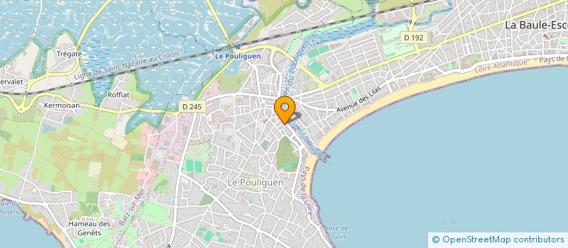 localisation de l'entreprise MADAME MARIE PIGEON  LE POULIGUEN