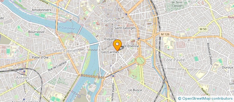 localisation de l'entreprise MADAME MARIE PISSON à TOULOUSE