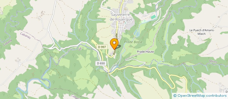 localisation de l'entreprise MADAME MARIE QUINTARD  SAUVETERRE-DE-ROUERGUE