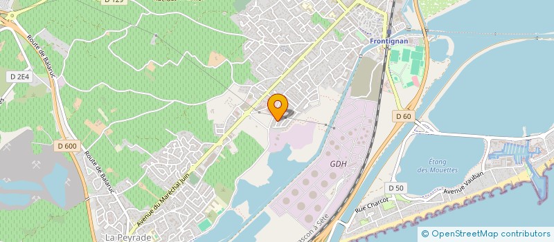 localisation de l'entreprise MADAME MARIE RABUTEAU à FRONTIGNAN
