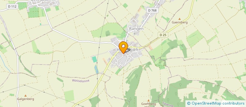 localisation de l'entreprise MADAME MARIE RAMSPACHER  HOHENGFT