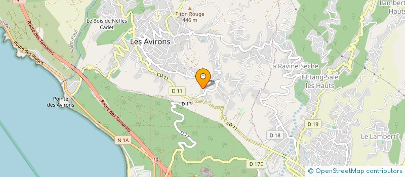 localisation de l'entreprise MADAME MARIE REINE CLAUDE ROPAULD  LES AVIRONS