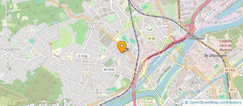 localisation de l'entreprise MADAME MARIE-REINE SCHWARTZ  METZ