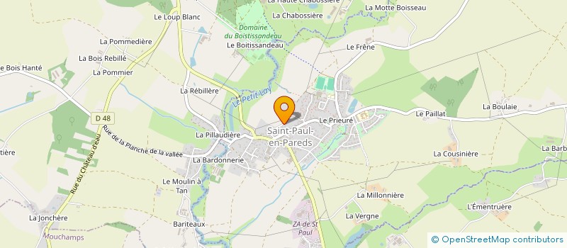 localisation de l'entreprise MADAME MARIE REMIGEREAU  SAINT-PAUL-EN-PAREDS