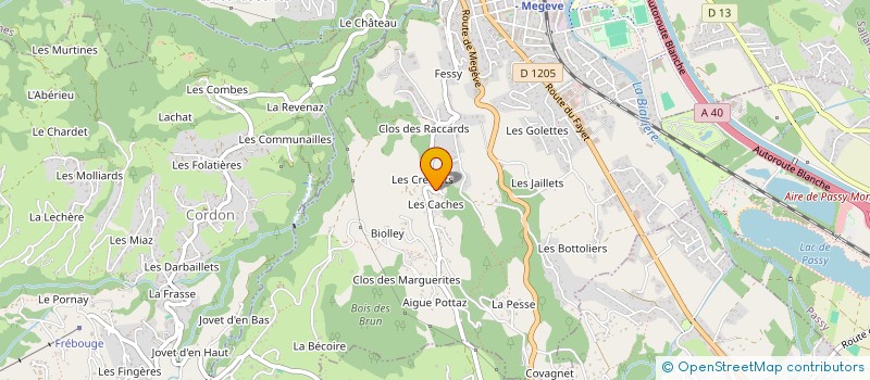 localisation de l'entreprise MADAME MARIE RIBOULON  SALLANCHES