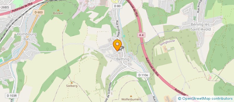 localisation de l'entreprise MADAME MARIE RICHARD  BETTING