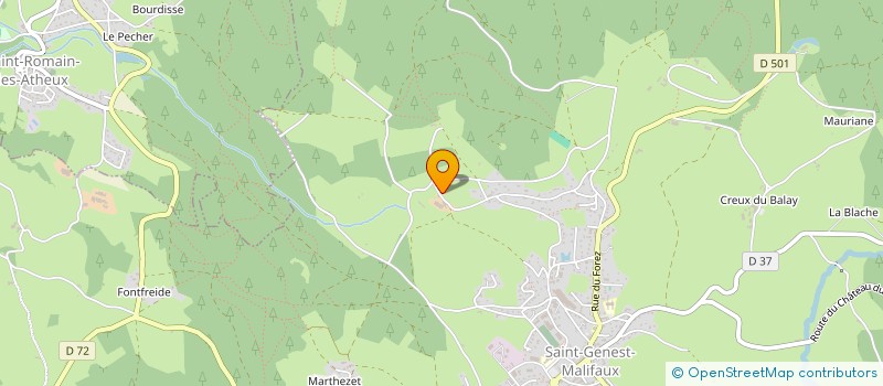 localisation de l'entreprise MADAME MARIE RIOU  SAINT-GENEST-MALIFAUX