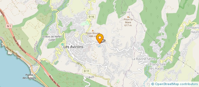 localisation de l'entreprise MADAME MARIE RIVIERE  LES AVIRONS