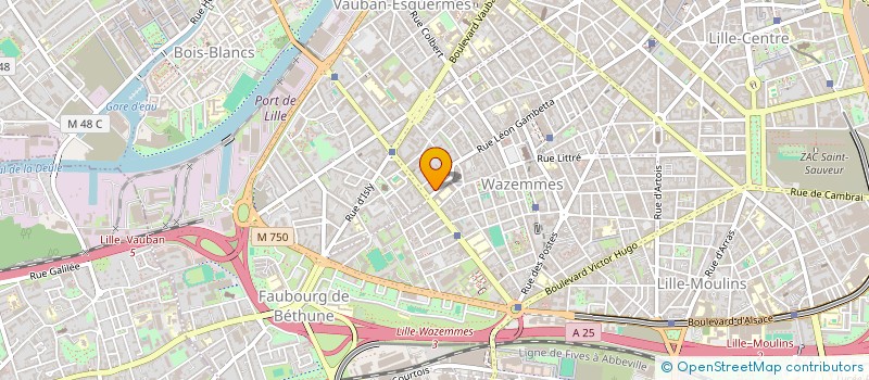 localisation de l'entreprise MADAME MARIE ROBERT à LILLE
