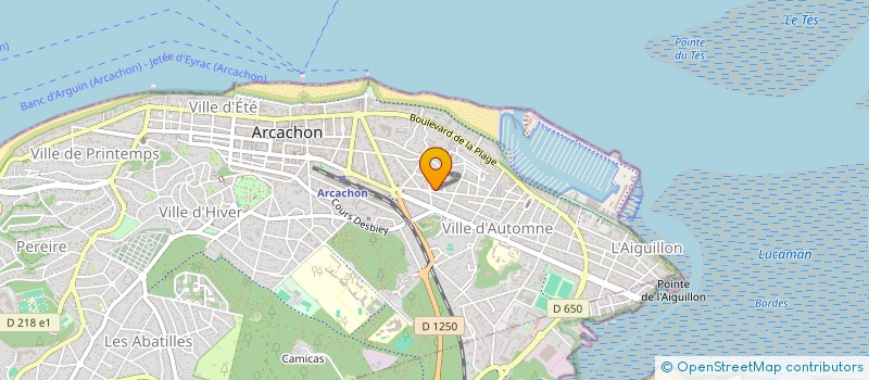 localisation de l'entreprise MADAME MARIE ROGER  ARCACHON