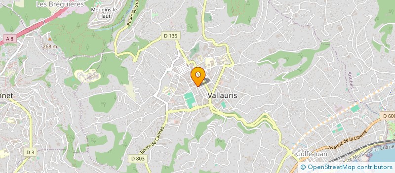 localisation de l'entreprise MADAME MARIE ROUGEAUX à VALLAURIS
