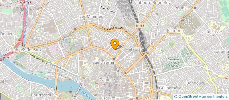 localisation de l'entreprise MADAME MARIE SANZ VENTURA à TOULOUSE