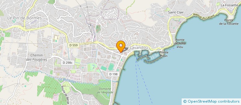 localisation de l'entreprise MADAME MARIE SOYER à LE LAVANDOU