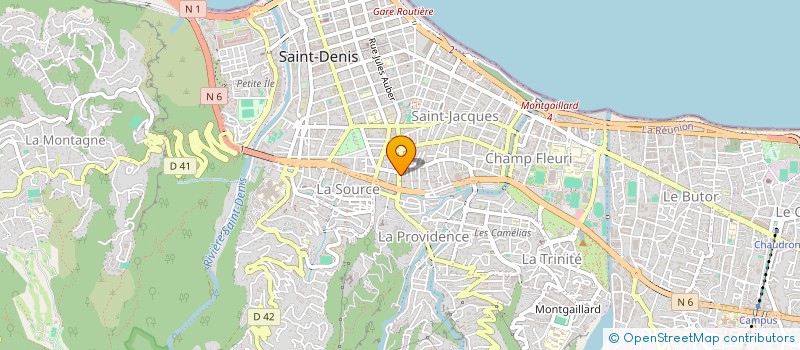 localisation de l'entreprise MADAME MARIE SYLVIE RANGANAYAGUY  SAINT-DENIS