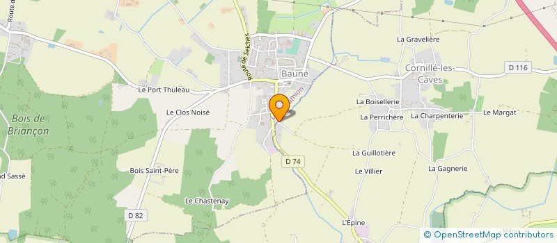 localisation de l'entreprise MADAME MARIE TERRIER  LOIRE-AUTHION