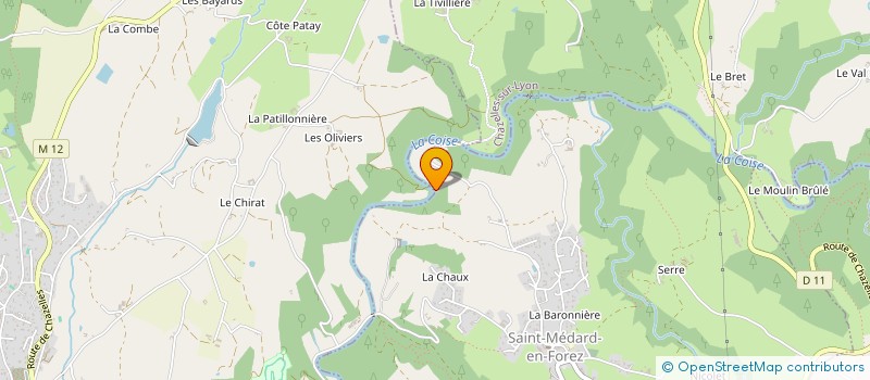 localisation de l'entreprise MADAME MARIE-TH DECOT  SAINT-MEDARD-EN-FOREZ