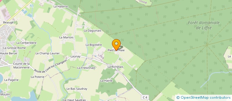 localisation de l'entreprise MADAME MARIE THERESE BEAUGENDRE  LIFFRE