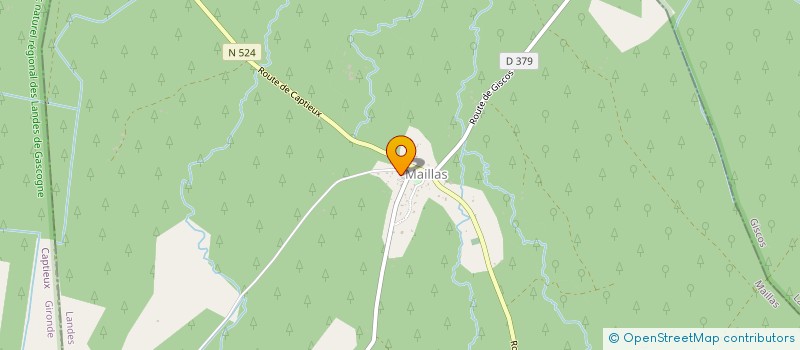 localisation de l'entreprise MADAME MARIE THERESE DARRIET  MAILLAS