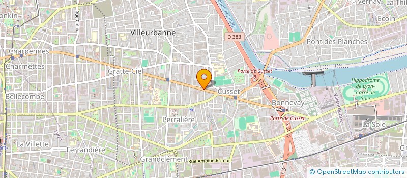 localisation de l'entreprise MADAME MARIE-THERESE DAVID  VILLEURBANNE