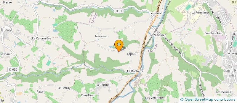 localisation de l'entreprise MADAME MARIE-THERESE DELESTRA à SAVIGNY