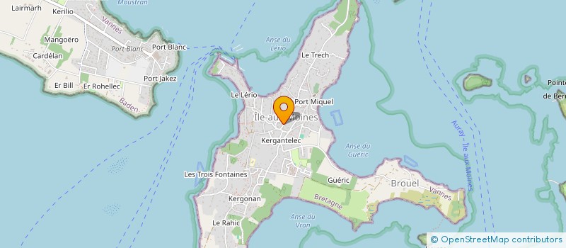 localisation de l'entreprise MADAME MARIE-THERESE DERRIEN  ILE-AUX-MOINES