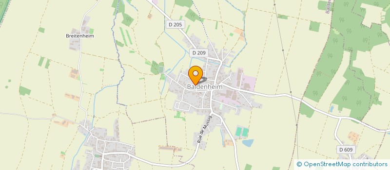 localisation de l'entreprise MADAME MARIE THERESE HUTTENBERGER  BALDENHEIM