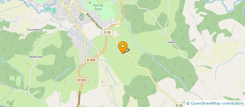 localisation de l'entreprise MADAME MARIE-THERESE ISTEBOT  SALIES-DE-BEARN