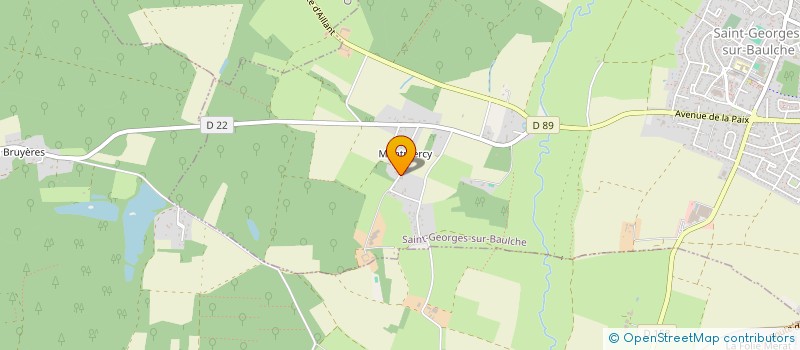 localisation de l'entreprise MADAME MARIE-THERESE LAGALIS  SAINT-GEORGES-SUR-BAULCHE