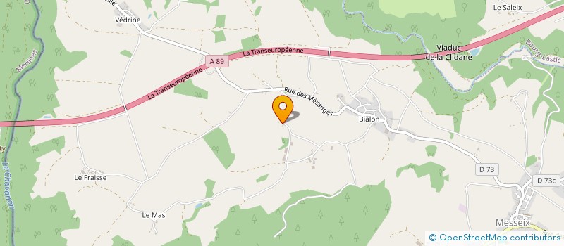 localisation de l'entreprise MADAME MARIE-THERESE MARTIN  MESSEIX