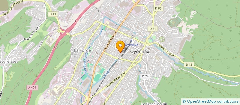 localisation de l'entreprise MADAME MARIE-THERESE NIGRA à OYONNAX
