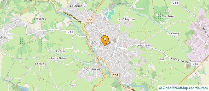 localisation de l'entreprise MADAME MARIE-THERESE RICHAUD à MORNANT