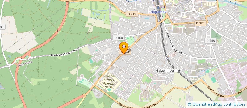 localisation de l'entreprise MADAME MARIE-THERESE SIEGER  HAGUENAU