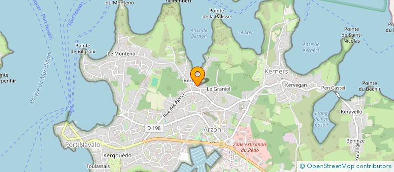 localisation de l'entreprise MADAME MARIE-THERESE SURZUR à ARZON