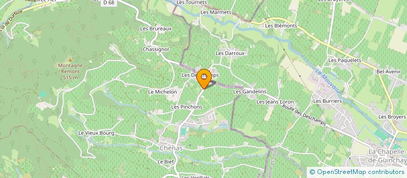 localisation de l'entreprise MADAME MARIE THERESE THIBAUD  CHENAS