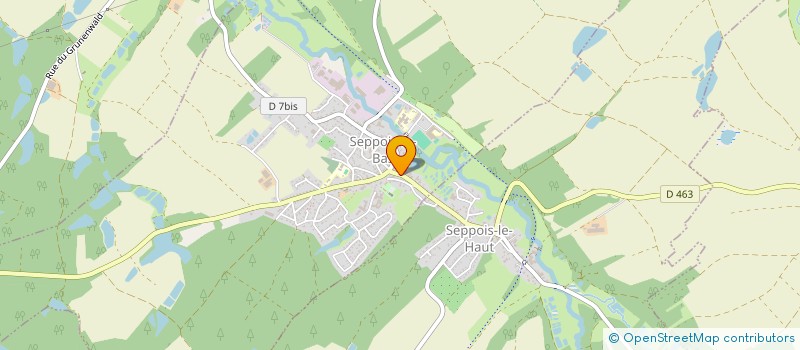 localisation de l'entreprise MADAME MARIE-THERESE WENDLINGEN  SEPPOIS-LE-BAS