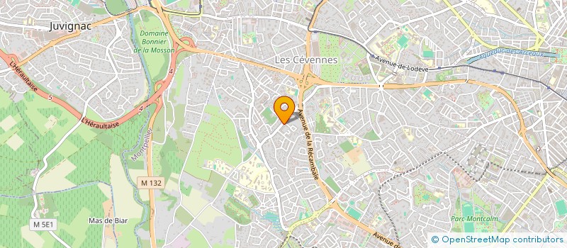 localisation de l'entreprise MADAME MARIE THIRION à MONTPELLIER